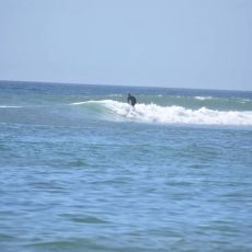 Surfing in Hierbabuena